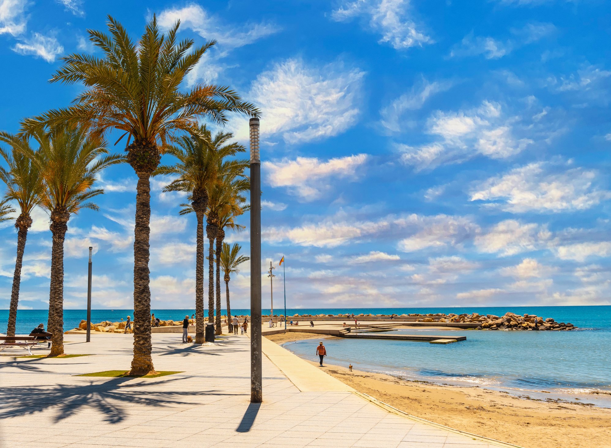 Beach with palm trees in the coastal city of Torrevieja